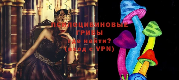 прущие грибы Кулебаки