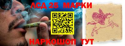 Альфа ПВП Будённовск