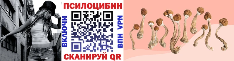 Псилоцибиновые грибы мицелий  Коммунар 