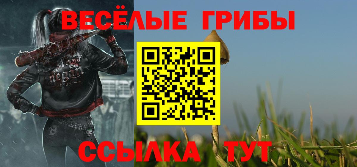 Галлюциногенные грибы MAGIC MUSHROOMS  продажа наркотиков  Коммунар  Вход с VPN 