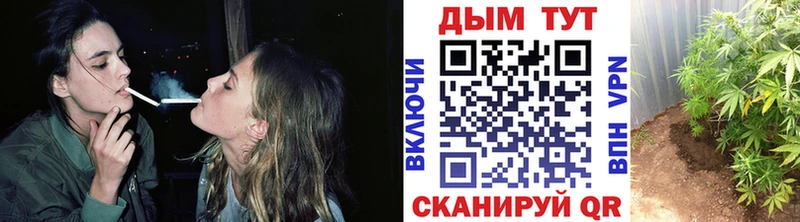 Бошки Шишки VHQ Коммунар